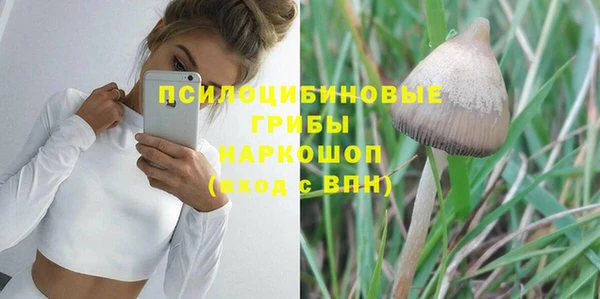 сатива Алексин