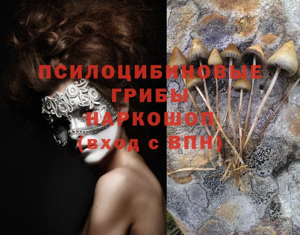 сатива Алексин