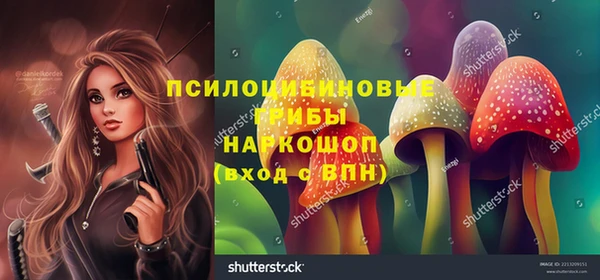 сатива Алексин
