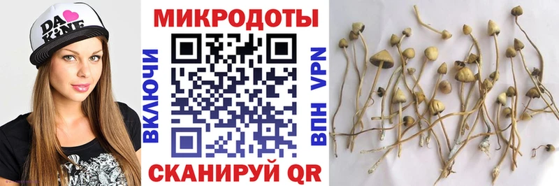 Псилоцибиновые грибы Magic Shrooms как найти Уфа